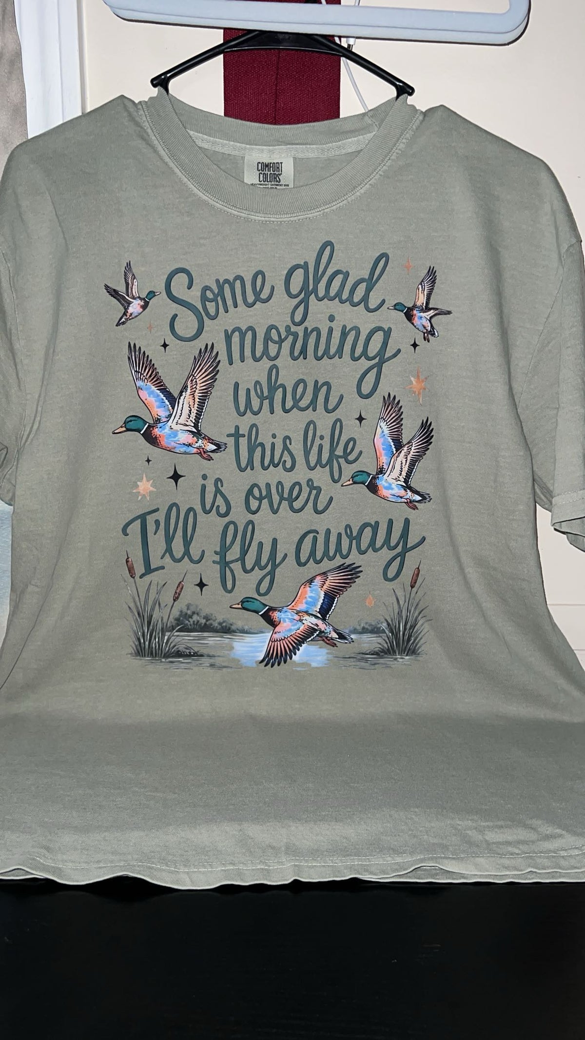 Fly away